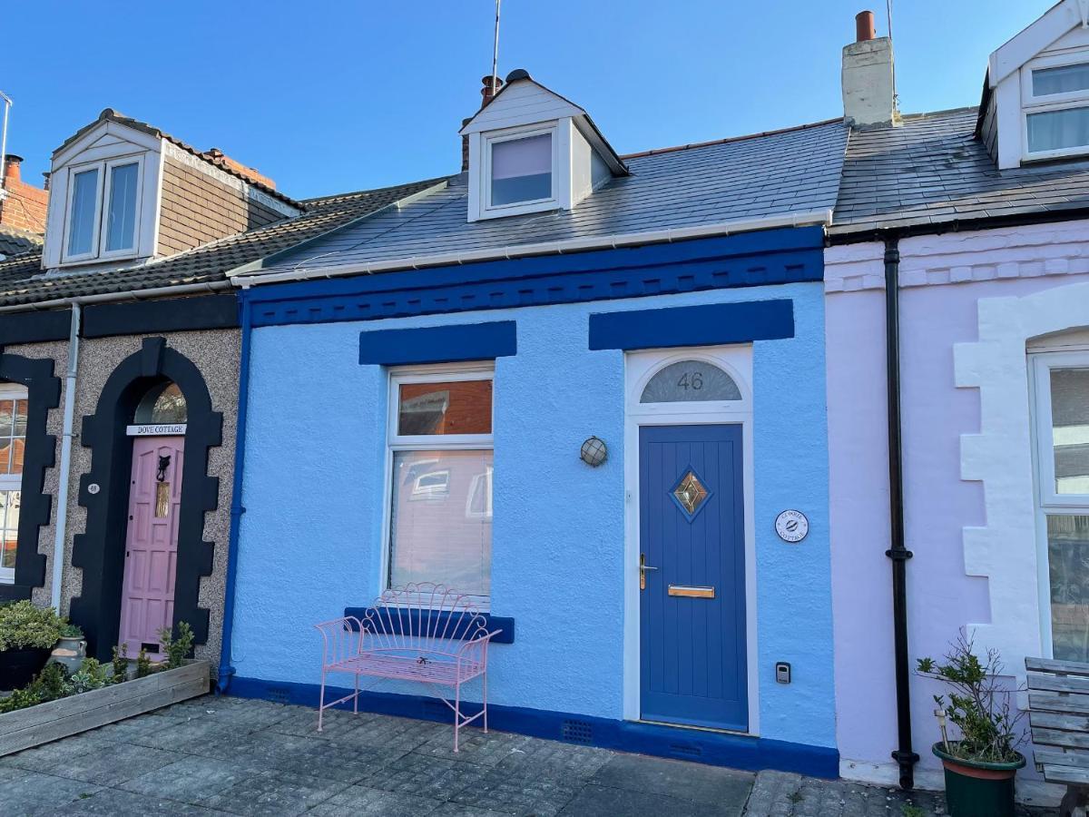 Cowrie Cottage نورث شيلدز المظهر الخارجي الصورة