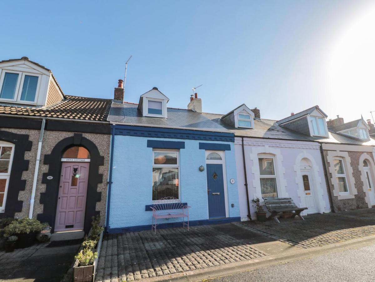 Cowrie Cottage نورث شيلدز المظهر الخارجي الصورة